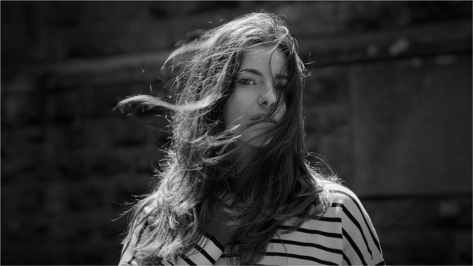 Windwept with Katrina