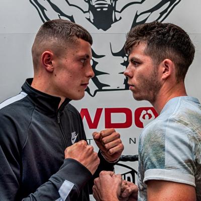 two boxers facing each other.