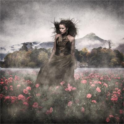 A composite image of people taken in the studio, background of Cumbria and a poppy field in Minworth.