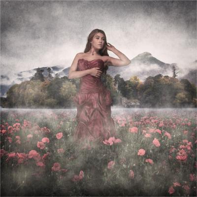 A composite image of people taken in the studio, background of Cumbria and a poppy field in Minworth.